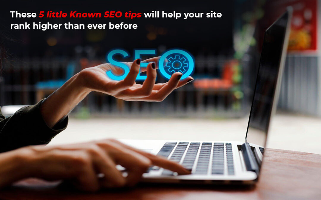 These 5 Little Known SEO Tips Will Help Your Site Rank Higher than Ever Before!