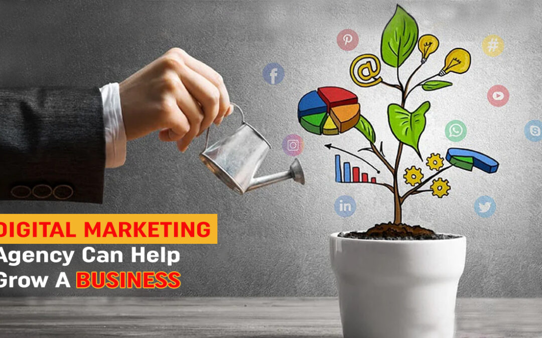 Digital Marketing Agency Can Help Grow A Business