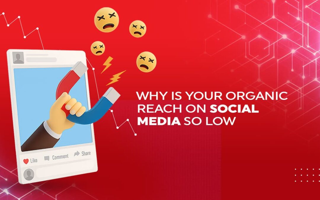 Why Is Your Organic Reach On Social Media So Low?