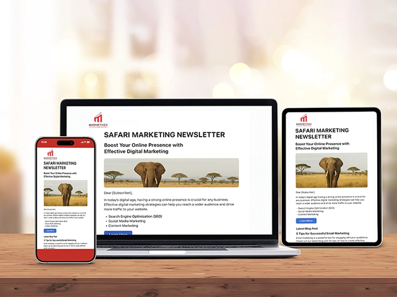 safari-email-marketing-campaign