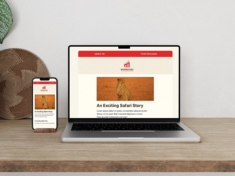 safari-email-marketing-engagement