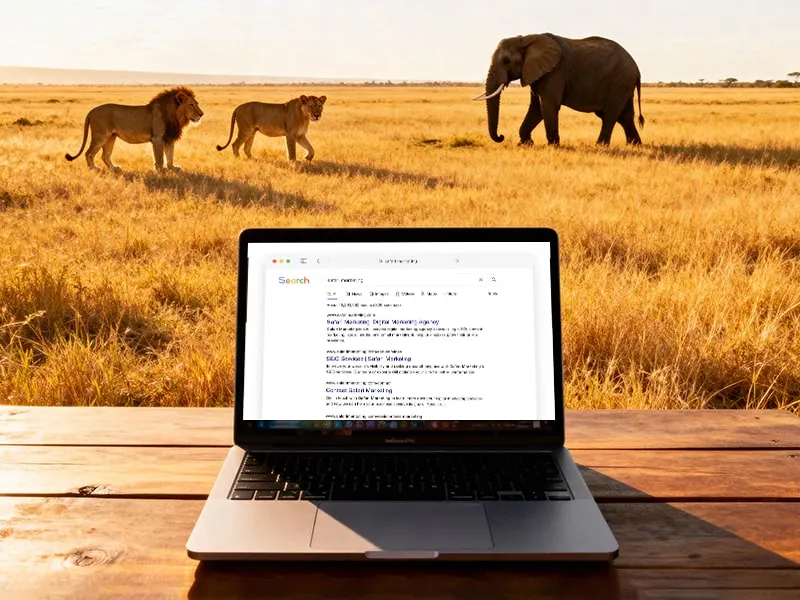 safari-seo-optimization