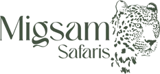 African-travel