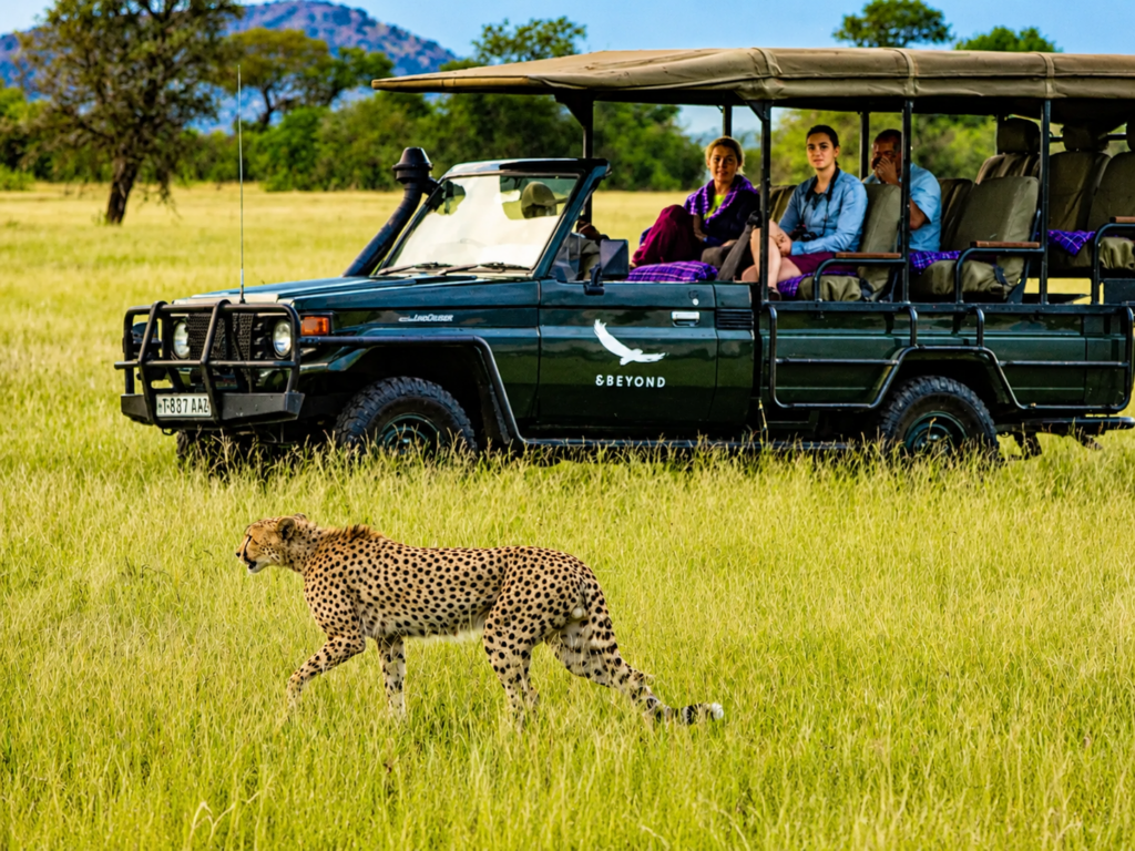 Safari Marketing Agency in Seattle