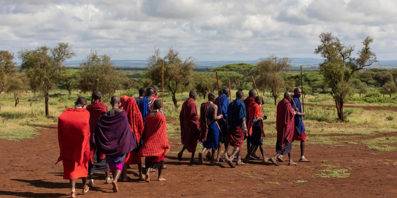 Kenya Safari
