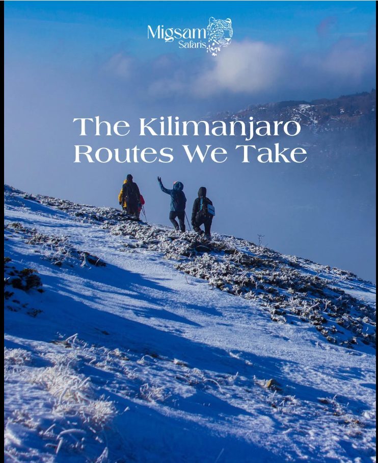 Kilimanjaro routes creative