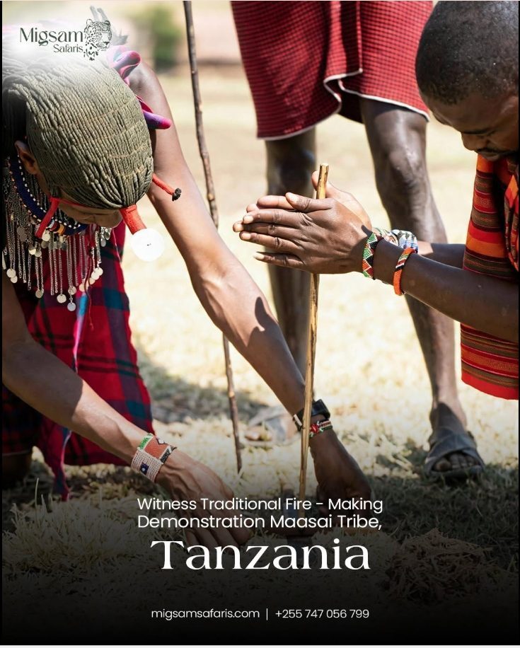 Maasai cultural experience creative