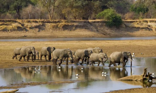 north-luangwa5